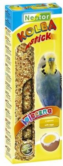 Picture of Nestor KOLBA PAPUGA MAA JAJECZNA