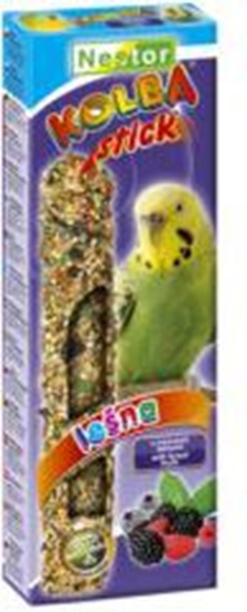 Picture of Nestor KOLBA PAPUGA MAA OWOC LASU