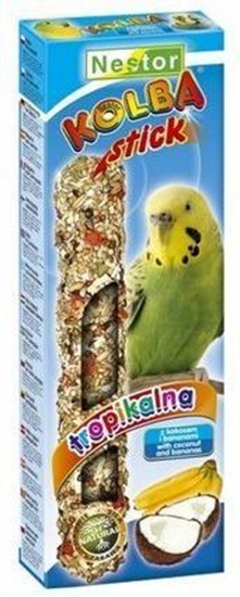 Picture of Nestor KOLBA PAPUGA MAA OWOCE TROPIKALNE