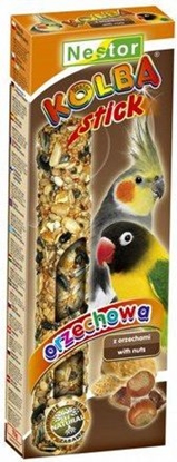 Picture of Nestor KOLBA PAPUGA REDNIA ORZECH