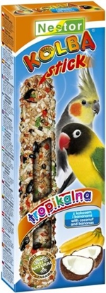 Attēls no Nestor KOLBA PAPUGA REDNIA OWOCE TROPIKALNE