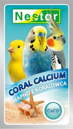 Picture of Nestor NESTOR WAPNO DLA PTAKÓW Z KORALOWCA
