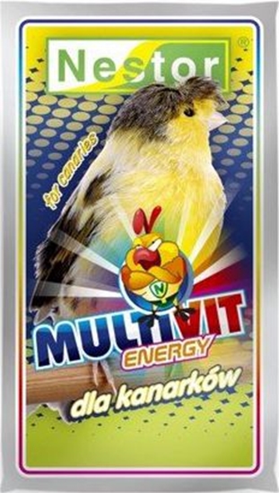 Picture of Nestor ODZYWKA KANAREK MULTIVIT