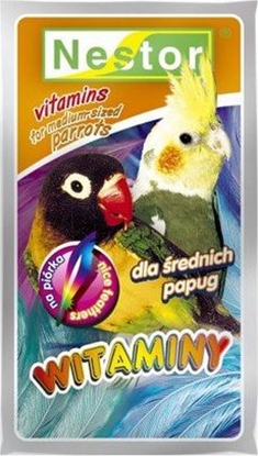 Attēls no Nestor WITAMINY 20g PAP.RED.PIÓRKA 25szt