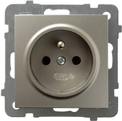 Picture of Ospel Gniazdo AS pojedyncze z uziemieniem satyna light (GP-1GZ/m/45)