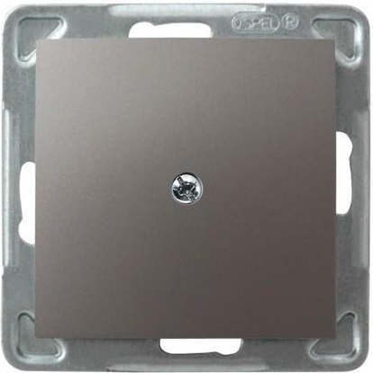 Picture of Ospel Zalepka Impresja tytan (Z-1Y/m/23)