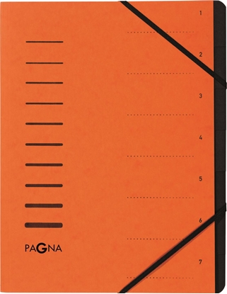 Picture of Pagna Pagna 40058-12 zakadka do kart Pomaraczowy