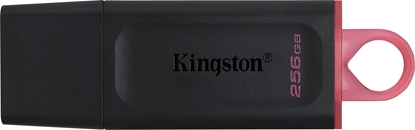 Attēls no Pendrive Kingston DataTraveler Exodia, 256 GB  (DTX/256GB)