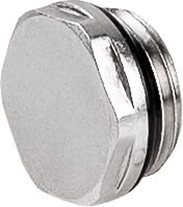 Picture of Perfexim Korek do grzejnika stalowego 1/2" 4216 G1/2 Z PN10 (20-402-0000-000)