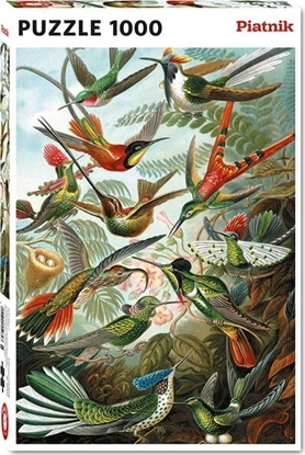 Изображение Piatnik Puzzle 1000 - Haeckel, Kolibry PIATNIK