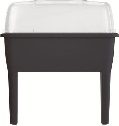 Attēls no Prosperplast Miniszklarenka 38 cm x 77 cm x 82 cm (DREP770-S433                   )