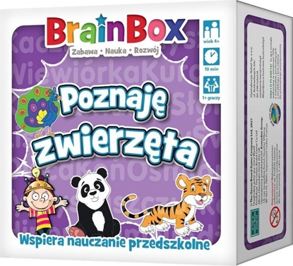 Picture of Rebel BrainBox - Poznaj zwierzta