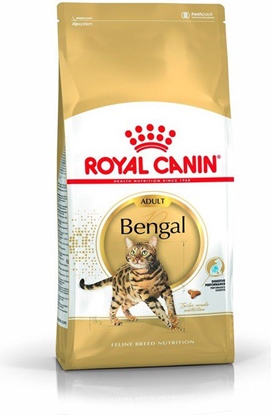 Picture of Royal Canin Bengal Adult karma sucha dla kotów dorosych rasy bengal 2kg