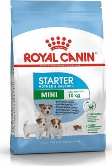 Picture of Royal Canin SHN Mini Starter M&B 8 kg
