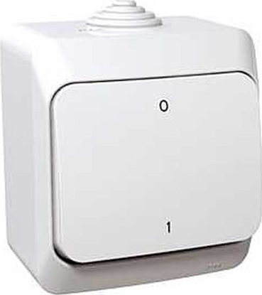 Picture of Schneider Electric Cedar Plus cznik dwubiegunowy natynkowy 16AX IP44 biay WDE000520