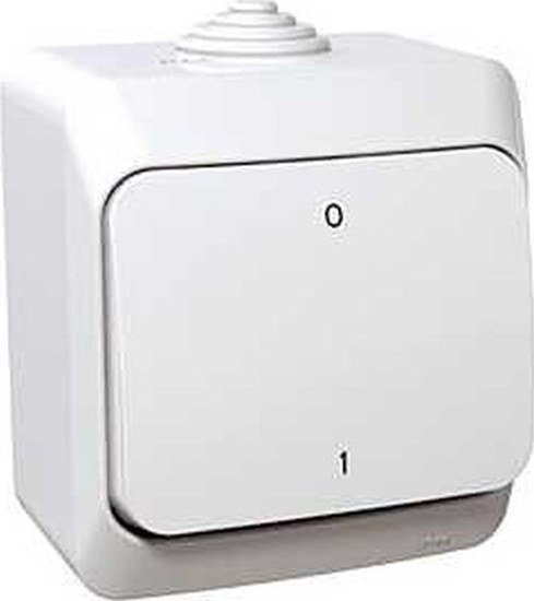 Picture of Schneider Electric Cedar Plus cznik dwubiegunowy natynkowy 16AX IP44 biay WDE000520