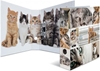 Picture of Herma Ordner A4 Katzen