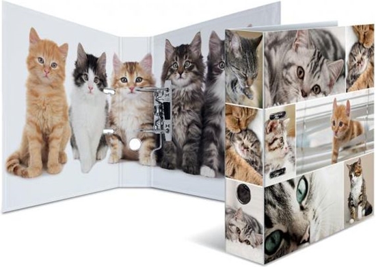 Picture of Segregator Herma dwigniowy A4 70mm  (7166)