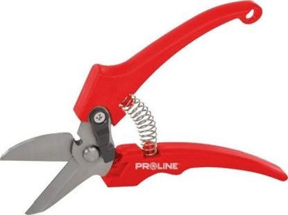 Attēls no Sekator Pro-Line noycowy