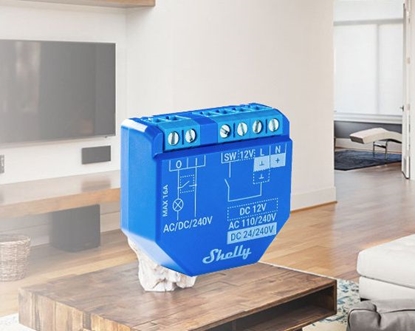 Изображение Shelly Shelly Plus 1