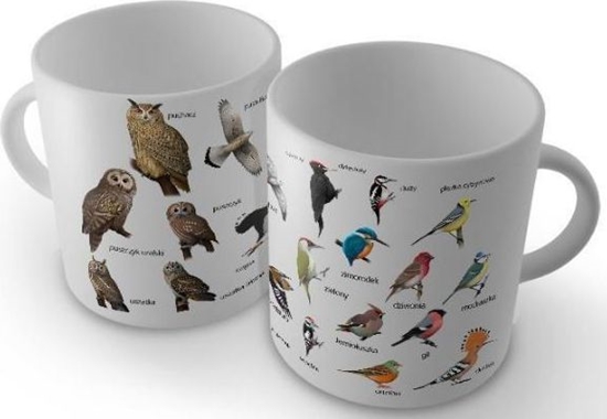 Picture of Soliton Kubek Ptaki Polski