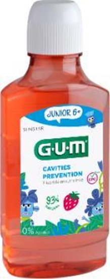 Picture of Sunstar GUM D.GUM PUK.JUNIOR MONSTER TRUSK.6+