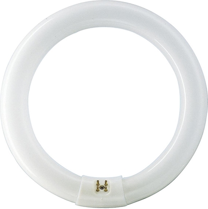Изображение wietlówka Philips Master TL-E Circular Super 80 koowa G10q 32W 2375lm 3000K (8711500559685)