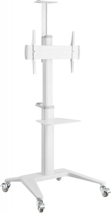 Picture of Techly Stojak podogowy ICA-TR48W 37'' - 70''