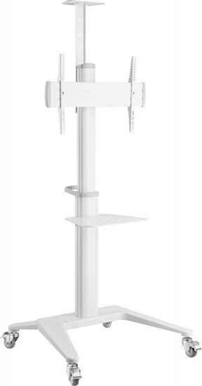 Изображение Techly Stojak podogowy ICA-TR48W 37'' - 70''