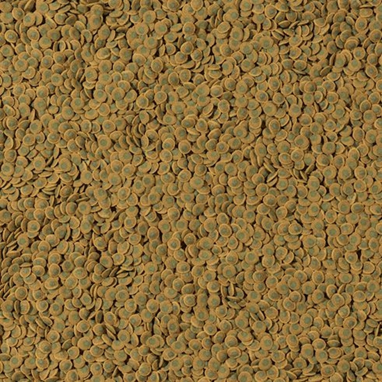 Picture of Tetra PLECO WAFERS 15G TOREBKA