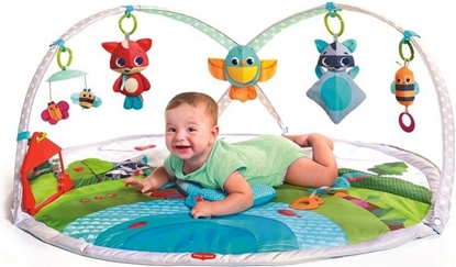 Picture of Tiny Love Gimnastyka dla bobasa z pakami - Zabawa na ce (TL000321)