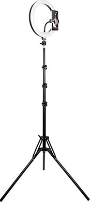 Picture of TRACER RING 30cm tripod 210cm ring lamp