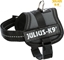 Изображение Trixie Julius-K9® Powerharness® szelki, dla psa, antracyt, Baby 1/XS: 3040 cm/18 mm