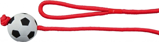 Picture of Trixie PIKA GUMOWA NA LINCE 6cm/1m