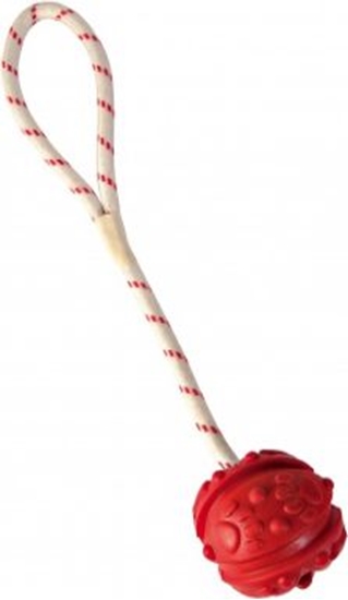 Picture of Trixie PIKA Z DZIUR I LINK 4.5CM