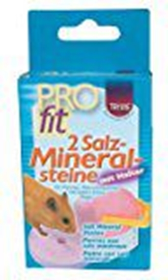 Picture of Trixie SÓL DLA CHOMIKA Z UCHWYTEM