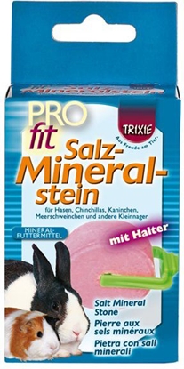 Picture of Trixie SÓL DLA GRYZONI Z UCHWYTEM