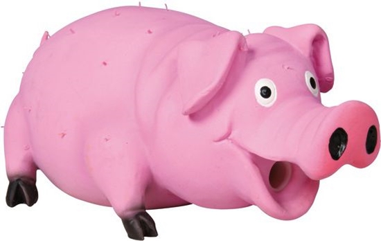 Picture of Trixie TX-35499 WINKA PISZCZCA 21cm