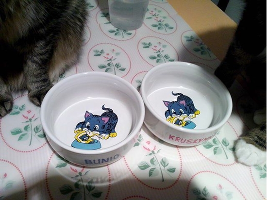 Picture of Trixie TX-4009 MISKA CERAMICZNA 11 CM/0.3L