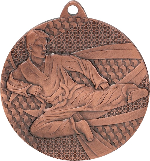 Picture of Tryumf Medal brzowy- karate - medal stalowy (MMC6650/B)