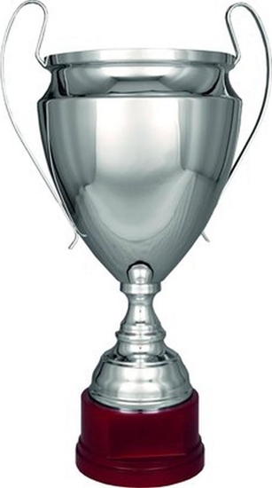 Изображение Tryumf Puchar 2020C