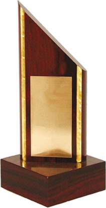 Picture of Tryumf Trofeum Z Tworzywa Sztucznego