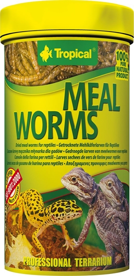 Изображение Tropical MEAL WORMS 250ml PUSZKA