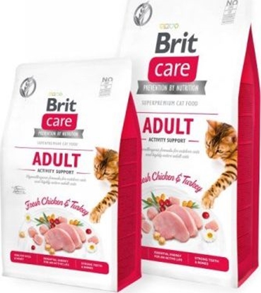 Picture of VAFO PRAHS Brit Care Kot Adult 7kg Activity Support Gf