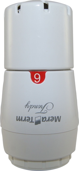 Picture of Varioterm Gowica Trendy GS.05-106C M30 x 1,5 biaa (000M651A101)