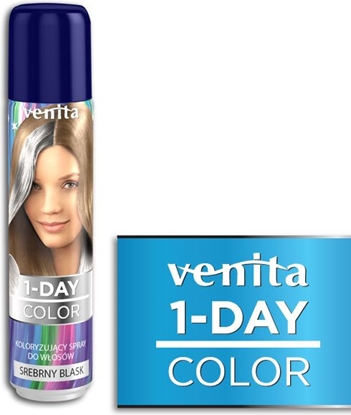 Attēls no Venita 1-Day color spray 6 srebrny blask