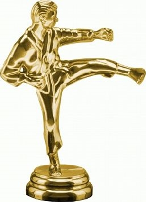 Attēls no Victoria Sport Figurka plastikowa karate F10/G