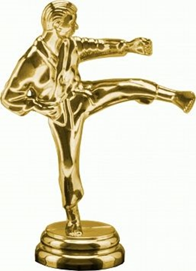 Picture of Victoria Sport Figurka plastikowa karate F10/G