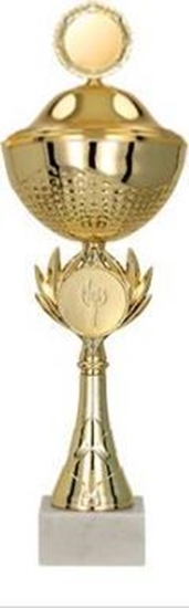 Изображение Victoria Sport Puchar metalowy z przykrywk