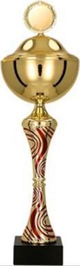 Picture of Victoria Sport Puchar metalowy z przykrywk